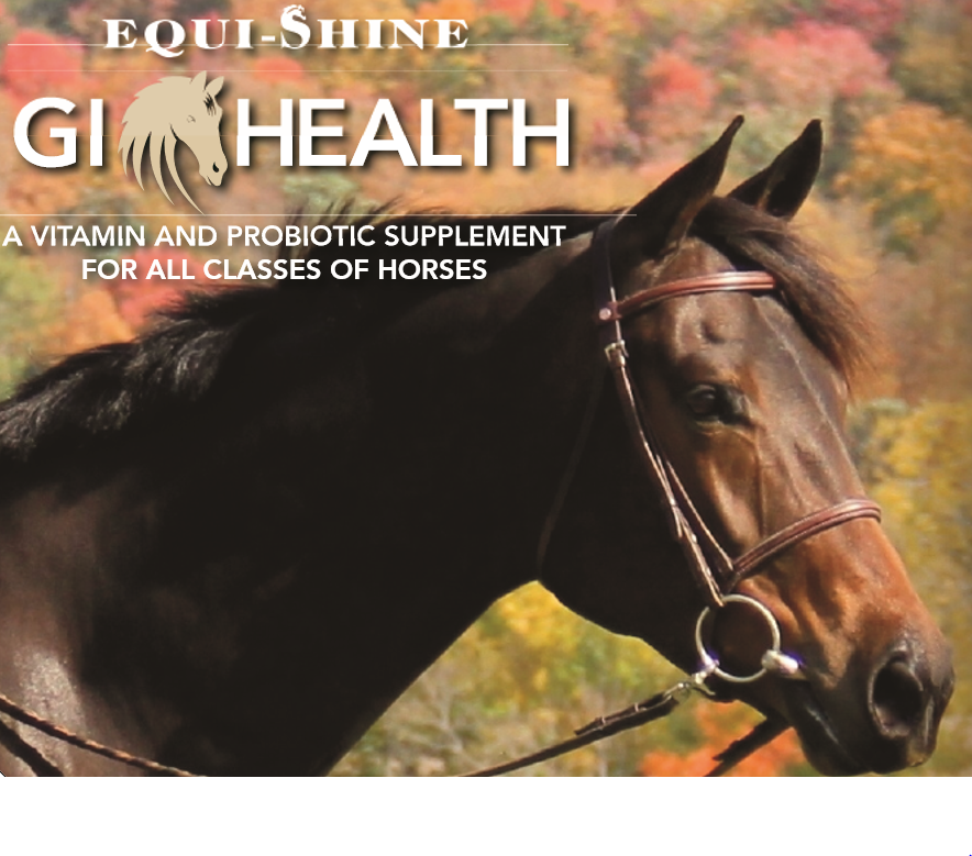 GI Health Doctor's Choice Supplements