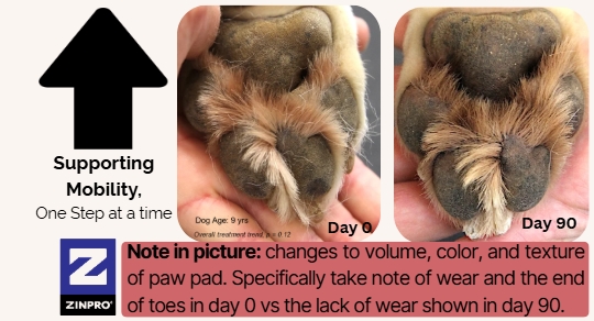 Blog Post Thumbnail